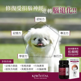 Kiwivital 松樹醇腦神經醫學級配方保健粉 120g（貓狗食用）
